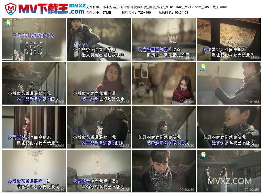 邱小龙-花开的时候你就嫁给我_国语_流行_MD205342